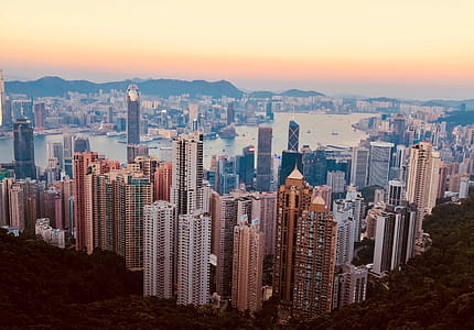 Photography of High-rise Buildings thumbnail