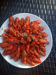shrimp dish on white plate thumbnail
