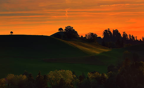 mountain and trees silhouette photography thumbnail