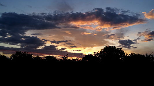 Black Forest Under Cloudy Sky during Sunset thumbnail