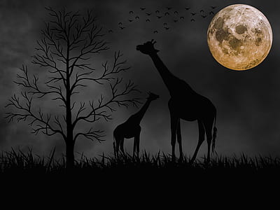 two giraffes near bare trees at night illustration thumbnail
