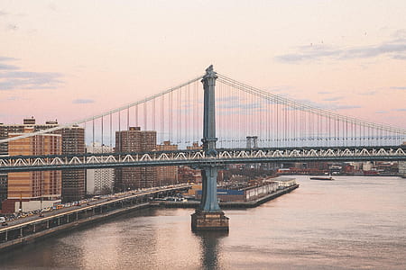 suspension, bridge, cables, architecture, landmark, water thumbnail