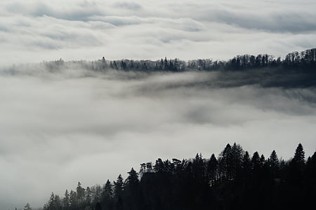 white fog during daytime thumbnail