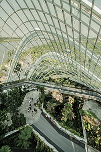 aerial photography of people walking on gray concrete road top during daytime thumbnail