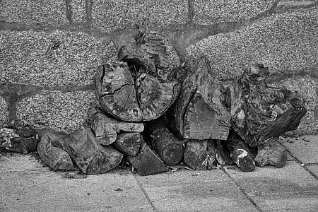 Gray Scale Logs Photography thumbnail