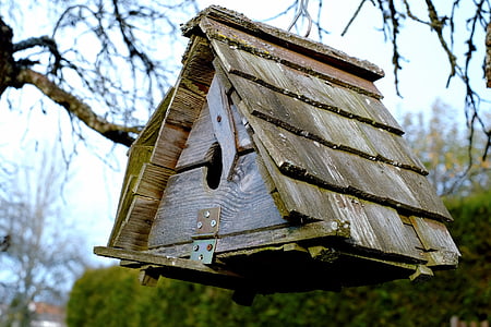 brown and gray wooden bird house thumbnail