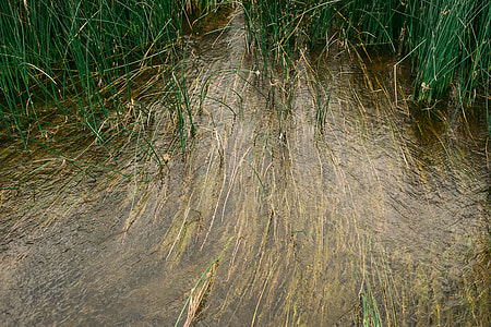 River current thumbnail