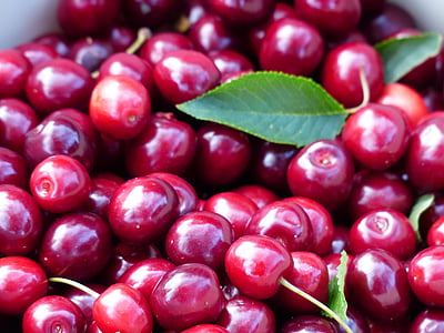 close-up photo of red cherries thumbnail