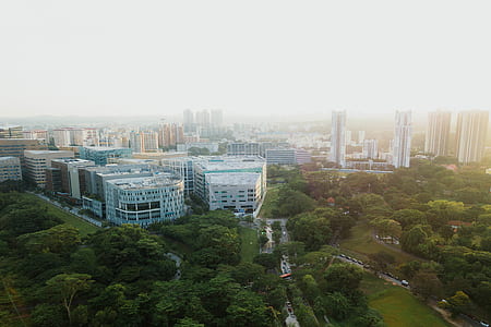 aerial shot of buildings and trees thumbnail
