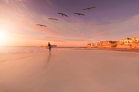 person walking on seashore thumbnail