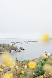 brown wooden house surrounded by body of water thumbnail