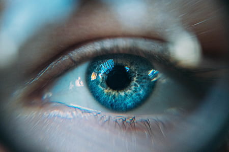 human eyelid thumbnail