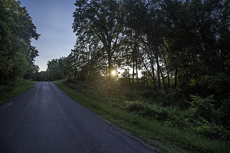 Late Afternoon sun setting beyond the trees at Cross Plains State Park thumbnail