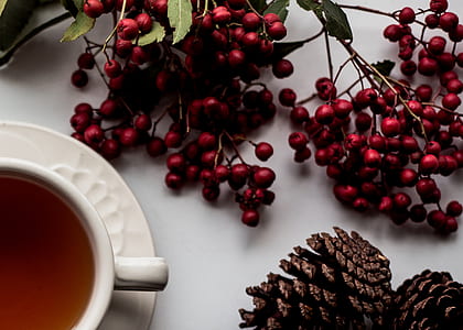 white ceramic cup with saucer beside red berries thumbnail