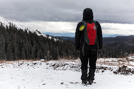 person wearing black zip-up jacket and red shirt standing on snow field with pine trees in background thumbnail