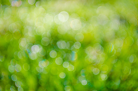 green, bokeh, photography, background, abstract, plant thumbnail