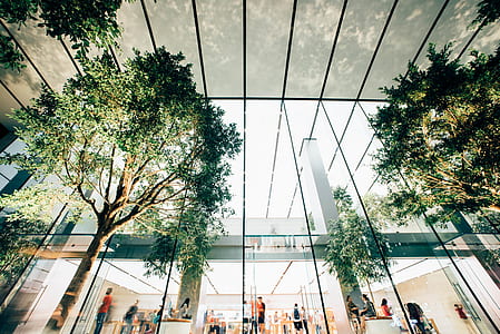 people inside glass building thumbnail