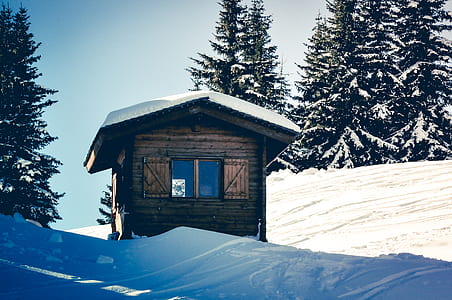 brown wooden hut on snow-covered area thumbnail