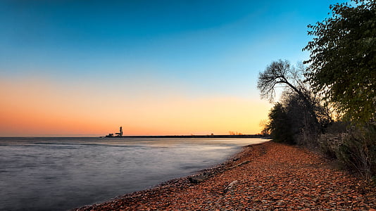 trees near seashore thumbnail