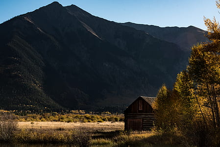 brown wooden house near trees and mountain at daytime thumbnail