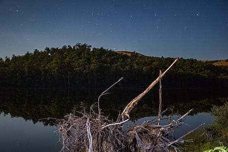 landscape photo of a green trees and body of water thumbnail