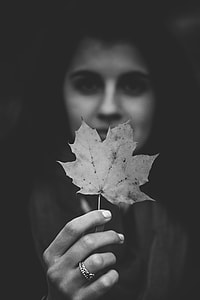selective focus photography of woman holding maple leaf thumbnail