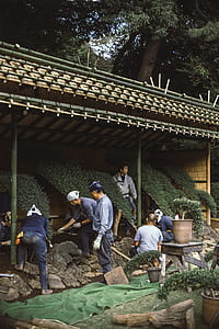 men, guy, male, workers thumbnail