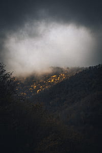 forested mountain with cloudy sky thumbnail
