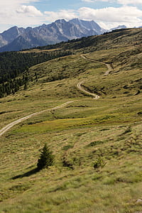 landscape photo of road surrounded by grass thumbnail
