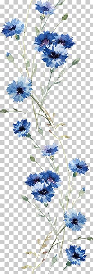 Flower Wall decal , Watercolor orchid , blue cornflowers painting PNG clipart