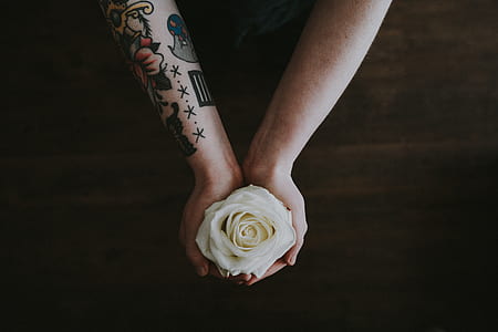 person holding white rose thumbnail