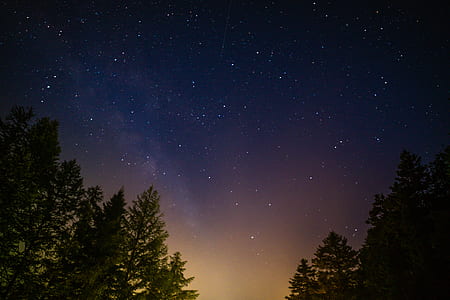 green trees under starry night sky thumbnail