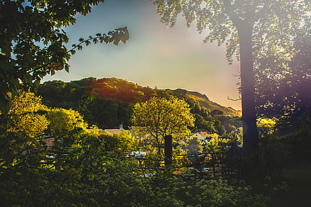 light, dawn, landscape, mountains thumbnail