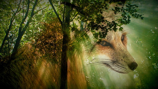 green leaf tree with fox poster thumbnail