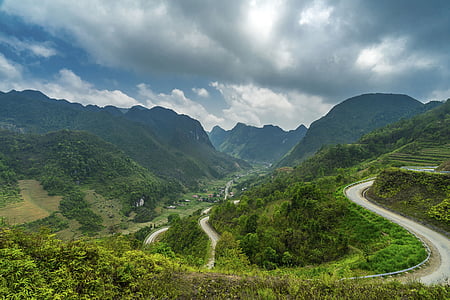 aerial photography of curved road surrounded with green trees thumbnail