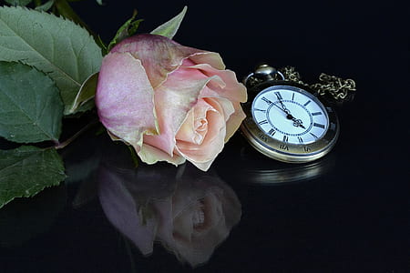 romantic, vintage, petals, leaves thumbnail