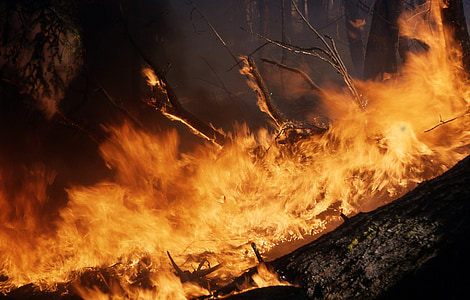 wild fire thumbnail