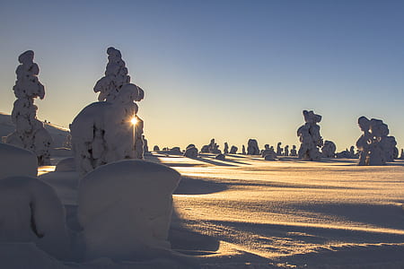 snow art under clear sky thumbnail