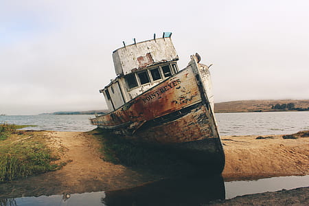 white and brown boat on brown sand during daytime thumbnail