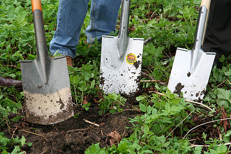 people digging soil using shovels thumbnail