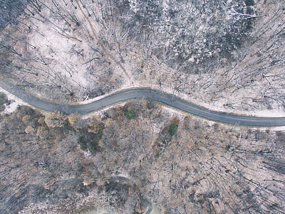 aerial photography of asphalt road surrounded by bare trees thumbnail