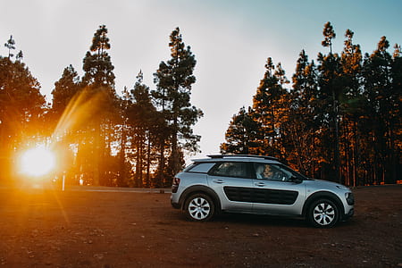 silver Citroen SUV parked near trees thumbnail