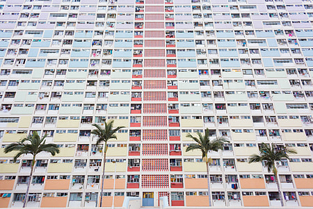 coconut trees in front high rise building thumbnail