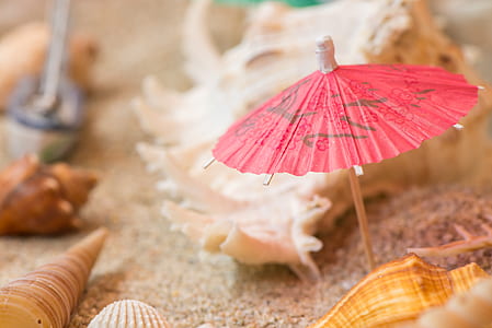 sand, decoration, shells, umbrella thumbnail