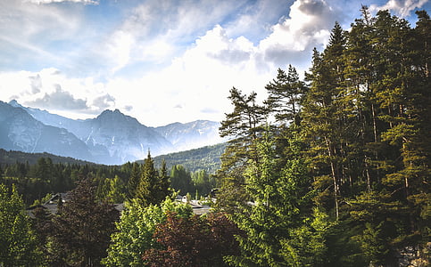 mountain range with trees thumbnail