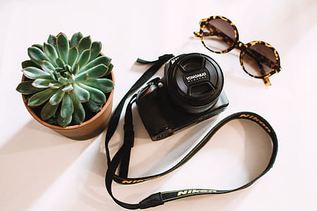 Black Nikon Dslr Camera Beside Green Succulent Plant thumbnail