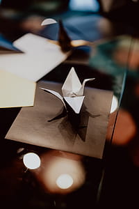 Women folding sheet of paper while making origami thumbnail