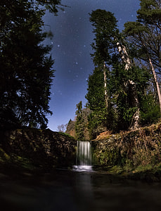 waterfalls surrounded by forest thumbnail