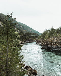 hanging bridge surrounded by trees and river during daytime thumbnail