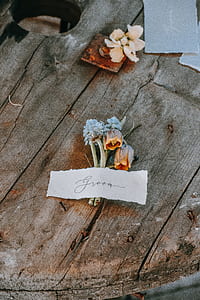 paper on top of pink and white petaled flower thumbnail